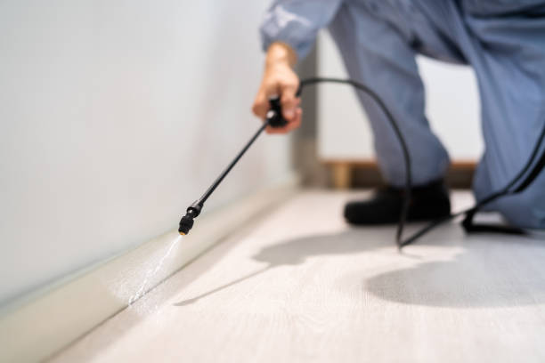 Licensed Pest Control service in Redlands, CO - Show Me Pest Control